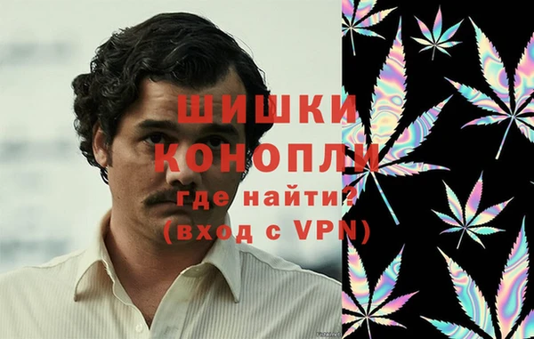 молекула духа Алексин