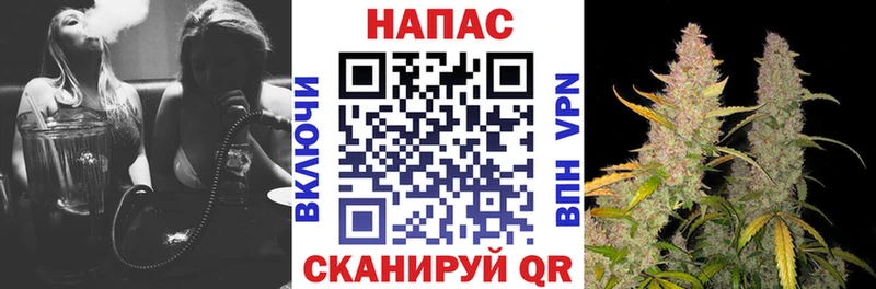 hydra   купить наркоту  Железногорск  Бошки марихуана OG Kush 
